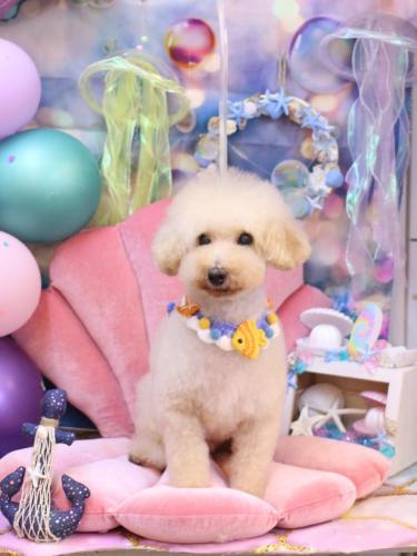 20240808こじろうくん 